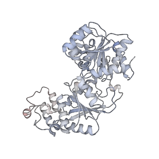13065_7otq_K_v1-0
Cryo-EM structure of ALC1/CHD1L bound to a PARylated nucleosome
