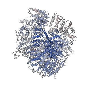13067_7otv_A_v1-3
DNA-PKcs in complex with wortmannin