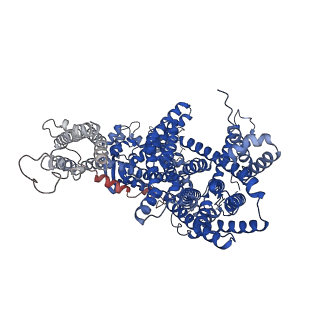 17182_8otq_B_v1-3
Cryo-EM structure of Strongylocentrotus purpuratus sperm-specific Na+/H+ exchanger SLC9C1 in GDN
