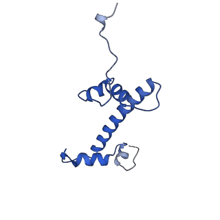 17184_8ott_G_v1-3
MYC-MAX bound to a nucleosome at SHL+5.8