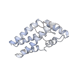 17187_8otz_0A_v1-0
48-nm repeat of the native axonemal doublet microtubule from bovine sperm