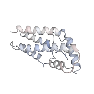 17187_8otz_0E_v1-0
48-nm repeat of the native axonemal doublet microtubule from bovine sperm