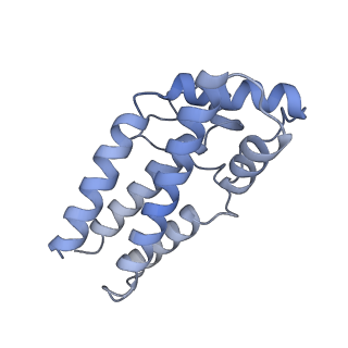 17187_8otz_0W_v1-0
48-nm repeat of the native axonemal doublet microtubule from bovine sperm