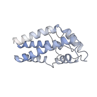 17187_8otz_0a_v1-0
48-nm repeat of the native axonemal doublet microtubule from bovine sperm
