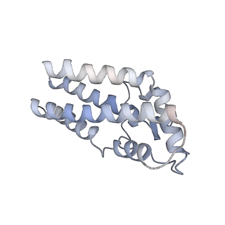 17187_8otz_0c_v1-0
48-nm repeat of the native axonemal doublet microtubule from bovine sperm