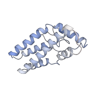17187_8otz_0g_v1-0
48-nm repeat of the native axonemal doublet microtubule from bovine sperm