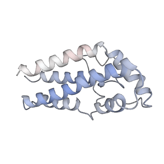 17187_8otz_0i_v1-0
48-nm repeat of the native axonemal doublet microtubule from bovine sperm