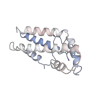 17187_8otz_0k_v1-0
48-nm repeat of the native axonemal doublet microtubule from bovine sperm