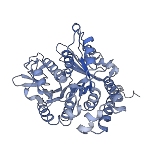 17187_8otz_AB_v1-0
48-nm repeat of the native axonemal doublet microtubule from bovine sperm