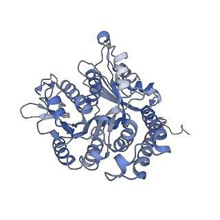 17187_8otz_AD_v1-0
48-nm repeat of the native axonemal doublet microtubule from bovine sperm