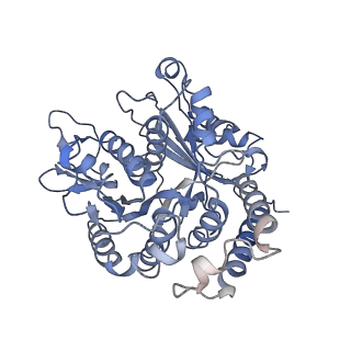 17187_8otz_AE_v1-0
48-nm repeat of the native axonemal doublet microtubule from bovine sperm