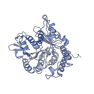 17187_8otz_AF_v1-0
48-nm repeat of the native axonemal doublet microtubule from bovine sperm