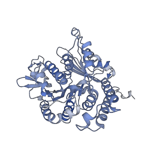 17187_8otz_AH_v1-0
48-nm repeat of the native axonemal doublet microtubule from bovine sperm