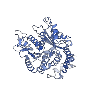 17187_8otz_AI_v1-0
48-nm repeat of the native axonemal doublet microtubule from bovine sperm