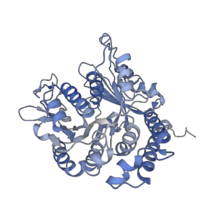 17187_8otz_AJ_v1-0
48-nm repeat of the native axonemal doublet microtubule from bovine sperm