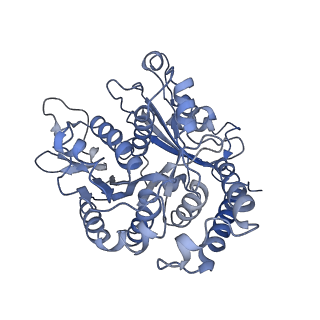 17187_8otz_AK_v1-0
48-nm repeat of the native axonemal doublet microtubule from bovine sperm
