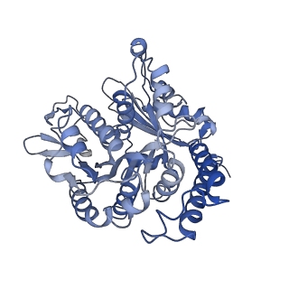 17187_8otz_AL_v1-0
48-nm repeat of the native axonemal doublet microtubule from bovine sperm