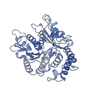 17187_8otz_AM_v1-0
48-nm repeat of the native axonemal doublet microtubule from bovine sperm