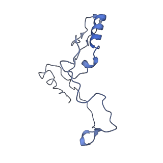 17187_8otz_AP_v1-0
48-nm repeat of the native axonemal doublet microtubule from bovine sperm