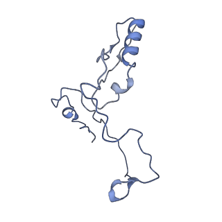 17187_8otz_AQ_v1-0
48-nm repeat of the native axonemal doublet microtubule from bovine sperm