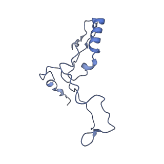 17187_8otz_AS_v1-0
48-nm repeat of the native axonemal doublet microtubule from bovine sperm