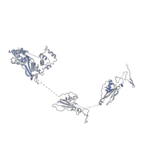 17187_8otz_Aa_v1-0
48-nm repeat of the native axonemal doublet microtubule from bovine sperm