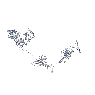 17187_8otz_Ab_v1-0
48-nm repeat of the native axonemal doublet microtubule from bovine sperm