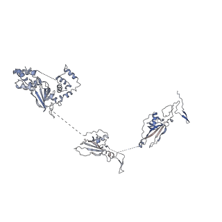 17187_8otz_Ac_v1-0
48-nm repeat of the native axonemal doublet microtubule from bovine sperm