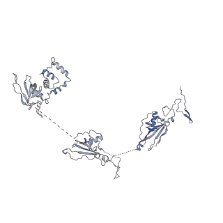 17187_8otz_Ad_v1-0
48-nm repeat of the native axonemal doublet microtubule from bovine sperm