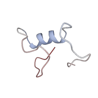 17187_8otz_Al_v1-0
48-nm repeat of the native axonemal doublet microtubule from bovine sperm