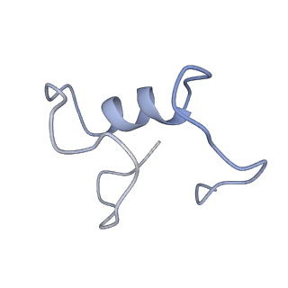 17187_8otz_Am_v1-0
48-nm repeat of the native axonemal doublet microtubule from bovine sperm