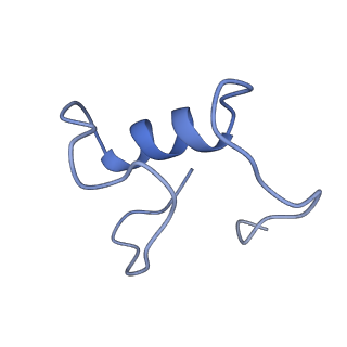 17187_8otz_An_v1-0
48-nm repeat of the native axonemal doublet microtubule from bovine sperm