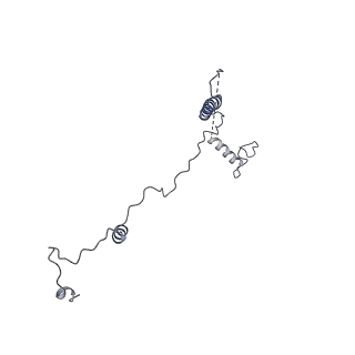 17187_8otz_Ap_v1-0
48-nm repeat of the native axonemal doublet microtubule from bovine sperm