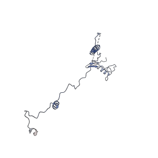 17187_8otz_Ar_v1-0
48-nm repeat of the native axonemal doublet microtubule from bovine sperm