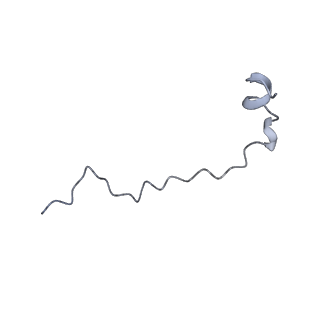 17187_8otz_B1_v1-0
48-nm repeat of the native axonemal doublet microtubule from bovine sperm