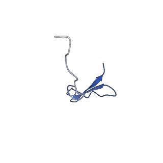 17187_8otz_B2_v1-0
48-nm repeat of the native axonemal doublet microtubule from bovine sperm