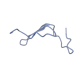 17187_8otz_B4_v1-0
48-nm repeat of the native axonemal doublet microtubule from bovine sperm