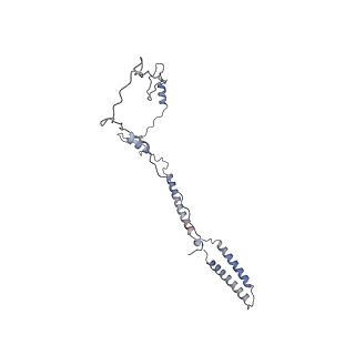 17187_8otz_B5_v1-0
48-nm repeat of the native axonemal doublet microtubule from bovine sperm