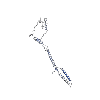 17187_8otz_B6_v1-0
48-nm repeat of the native axonemal doublet microtubule from bovine sperm