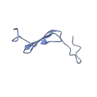 17187_8otz_B8_v1-0
48-nm repeat of the native axonemal doublet microtubule from bovine sperm