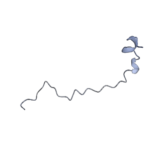 17187_8otz_B9_v1-0
48-nm repeat of the native axonemal doublet microtubule from bovine sperm