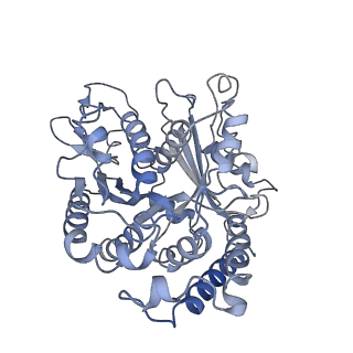 17187_8otz_BC_v1-0
48-nm repeat of the native axonemal doublet microtubule from bovine sperm