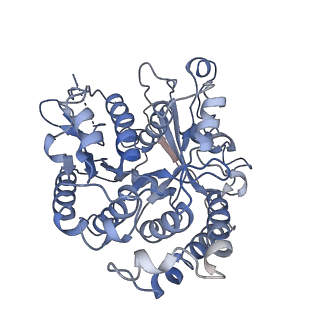17187_8otz_BE_v1-0
48-nm repeat of the native axonemal doublet microtubule from bovine sperm