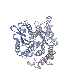 17187_8otz_BF_v1-0
48-nm repeat of the native axonemal doublet microtubule from bovine sperm