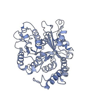 17187_8otz_BG_v1-0
48-nm repeat of the native axonemal doublet microtubule from bovine sperm