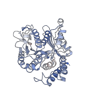 17187_8otz_BH_v1-0
48-nm repeat of the native axonemal doublet microtubule from bovine sperm