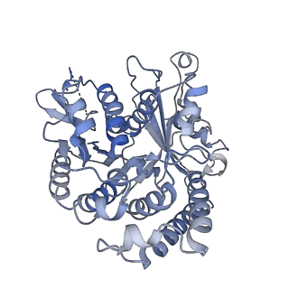 17187_8otz_BI_v1-0
48-nm repeat of the native axonemal doublet microtubule from bovine sperm