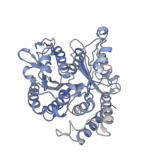 17187_8otz_BJ_v1-0
48-nm repeat of the native axonemal doublet microtubule from bovine sperm