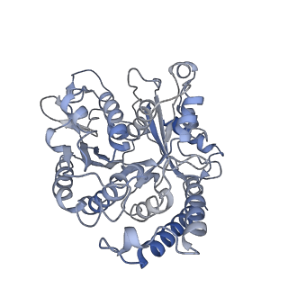 17187_8otz_BK_v1-0
48-nm repeat of the native axonemal doublet microtubule from bovine sperm