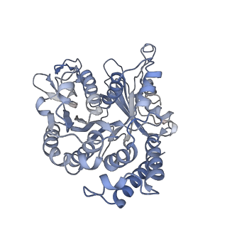 17187_8otz_BL_v1-0
48-nm repeat of the native axonemal doublet microtubule from bovine sperm